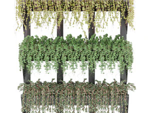 collection plant vol 8 3D Model