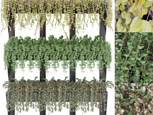 collection plant vol 8 3D Model