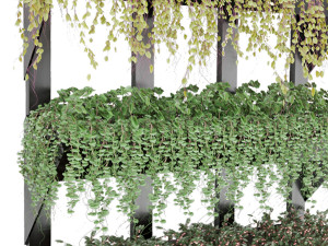 collection plant vol 8 3D Model