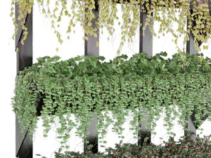 collection plant vol 8 3D Model