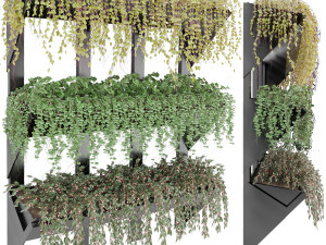 collection plant vol 8 3D Model
