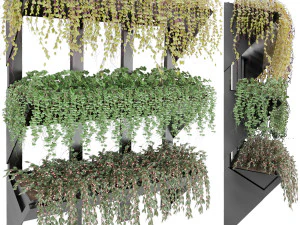 collection plant vol 8 3D Model