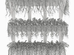 collection plant vol 8 3D Model