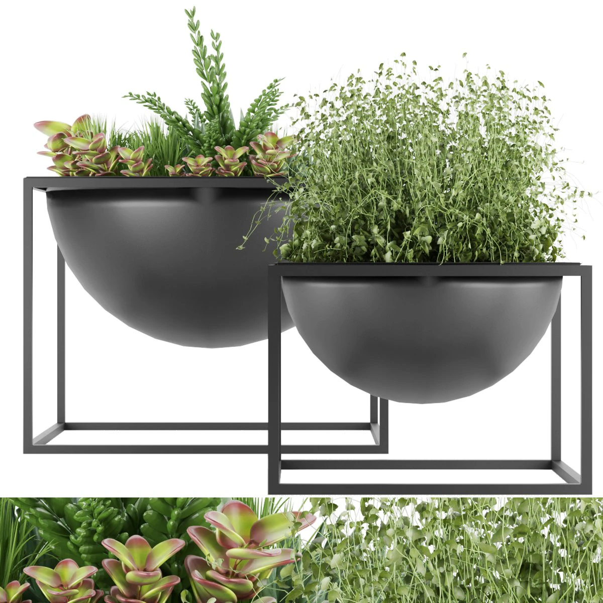 collection plant vol 11 3D Model .c4d .max .obj .3ds .fbx .stl .blend 