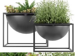 collection plant vol 11 3D 모델