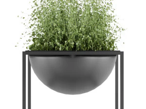 collection plant vol 11 3D Model