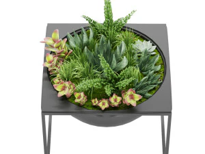 collection plant vol 11 3D Model