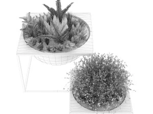 collection plant vol 11 3D Model