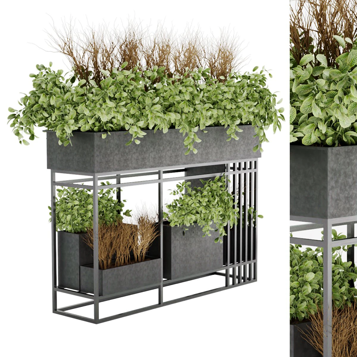 collection plant vol 13 3D Model .c4d .max .obj .3ds .fbx .stl .blend