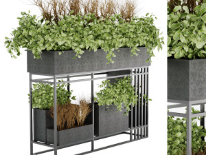 collection plant vol 13 3D 모델