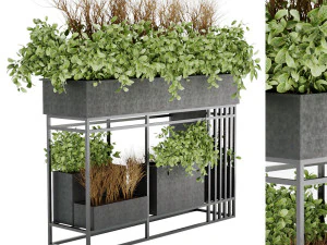 コレクションプラント vol 13 3Dモデル