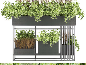 collection plant vol 13 Modelo 3D