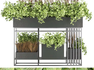 collection plant vol 13 3D Model