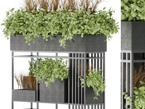 collection plant vol 13 3D Model