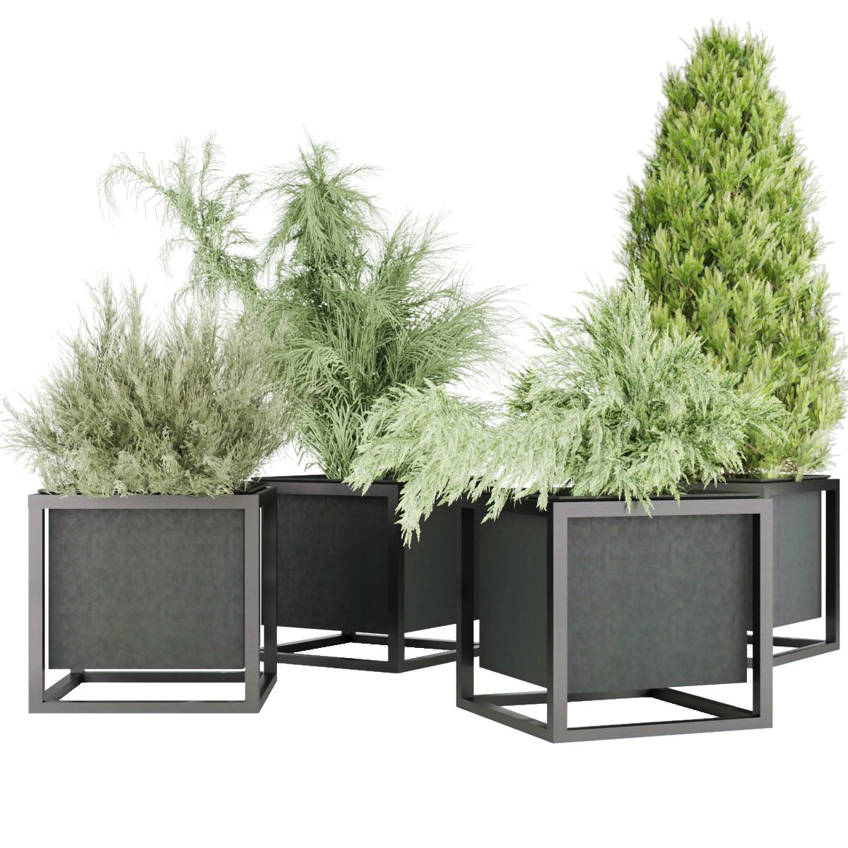 collection plant vol 14 3D Model .c4d .max .obj .3ds .fbx .stl .blend
