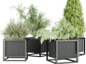 collection plant vol 14 3D 모델
