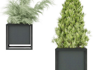 collection plant vol 14 3Dモデル