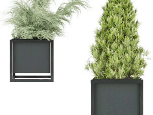 collection plant vol 14 3D Model