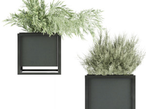 collection plant vol 14 3Dモデル