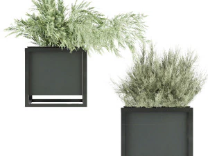 collection plant vol 14 3D Model