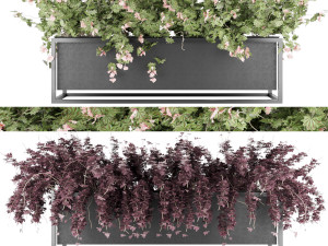 collection plant vol 15 3D 모델