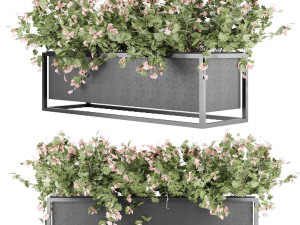 collection plant vol 15 Model 3D