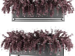 collection plant vol 15 Model 3D