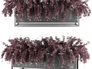 collection plant vol 15 3D Model