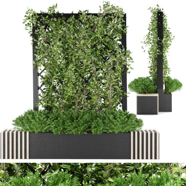 collection plant vol 16 3D Model .c4d .max .obj .3ds .fbx .stl .blend