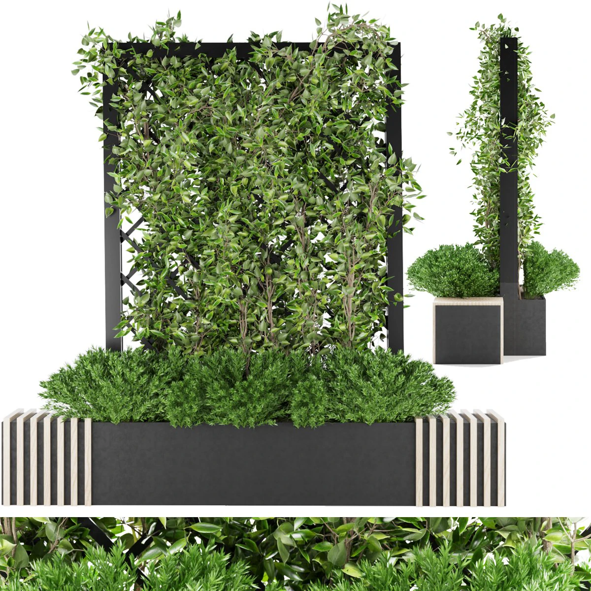 collection plant vol 16 3D Model .c4d .max .obj .3ds .fbx .stl .blend 