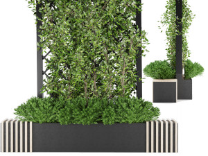 collection plant vol 16 Modèle 3D