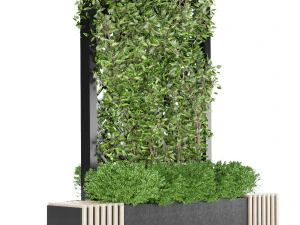 collection plant vol 16 3D Model