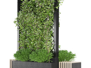 collection plant vol 16 3D Model