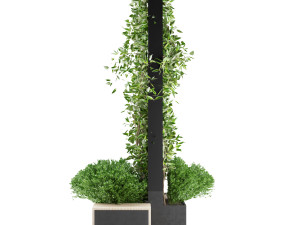 collection plant vol 16 3D Model