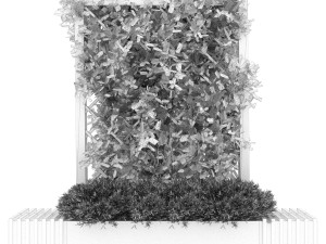 collection plant vol 16 3D Model