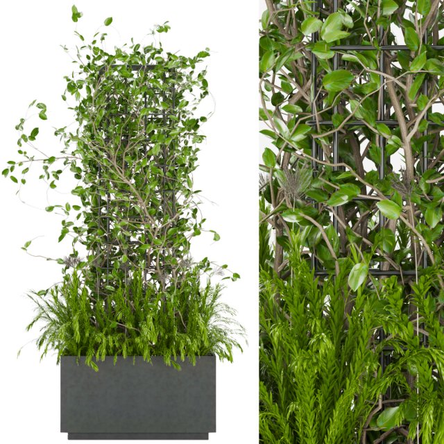 collection plant vol 17 Modelo 3D .c4d .max .obj .3ds .fbx .stl .blend 