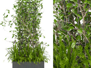 planta de coleta vol 17 Modelo 3D