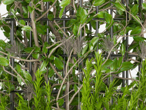 collection plant vol 17 Modelo 3D