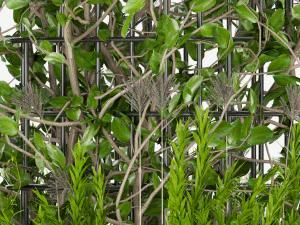 collection plant vol 17 3D Model