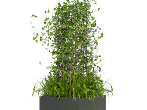 collection plant vol 17 Modelo 3D