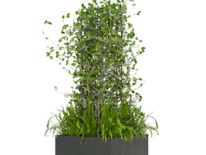 collection plant vol 17 3D Model