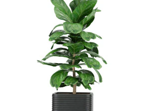 collection plant vol 18 3D Model