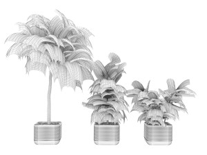 collection plant vol 18 3D Model