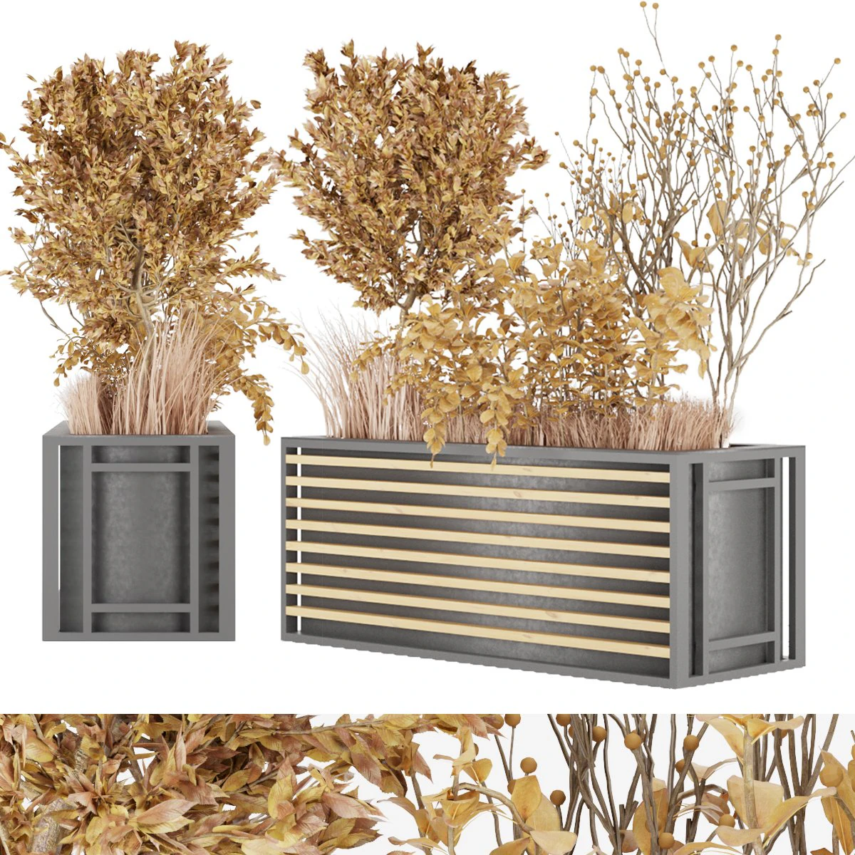 collection plant vol 20 3D Model .c4d .max .obj .3ds .fbx .stl .blend 