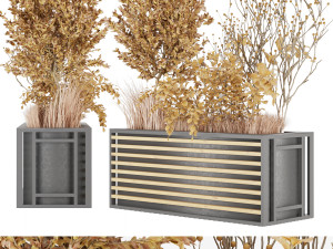 collection plant vol 20 3D 모델
