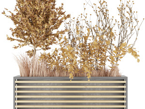 collection plant vol 20 Modello 3D