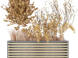 collection plant vol 20 3D Model