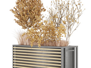 collection plant vol 20 Modello 3D