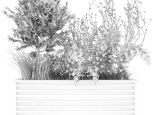 collection plant vol 20 Modello 3D