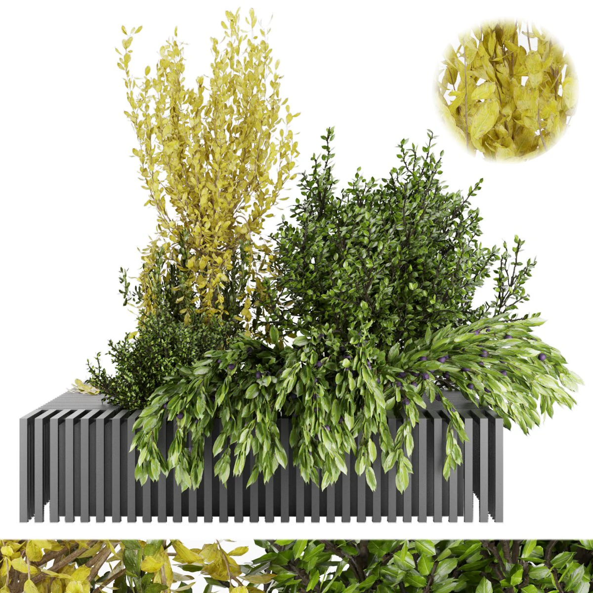 collection plant vol 23 3D Model .c4d .max .obj .3ds .fbx .stl .blend 